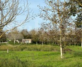 Terreno Agricolo Fabrica di Roma