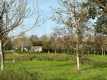 Terreno Agricolo Fabrica di Roma