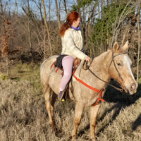 Cavallo da principianti