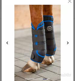 Stinchiere riposo Felix Buhler