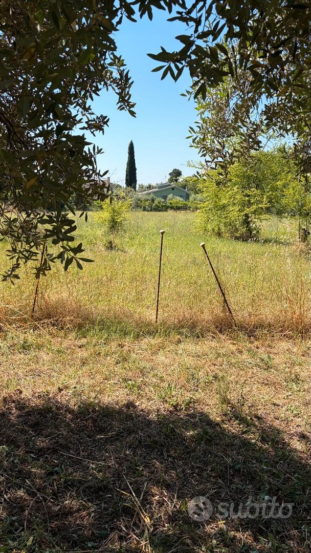 Terreno Velletri - Ansicht 3