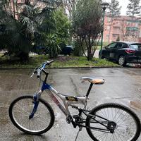 Bicicletta Daytona Regina 26