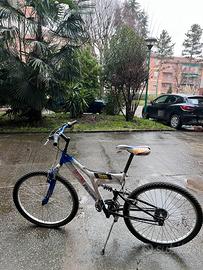 Bicicletta Daytona Regina 26
