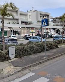 App Trentola Ducenta CE