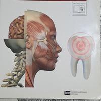 libro il corpo umano v.2 9788808246202