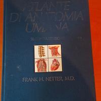 Atlante anatomia umana NETTER
