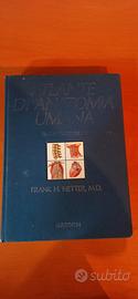 Atlante anatomia umana NETTER