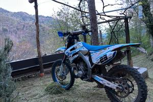 Tm En 250