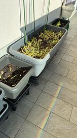 Vasi per terrazzo con carrellini su misura