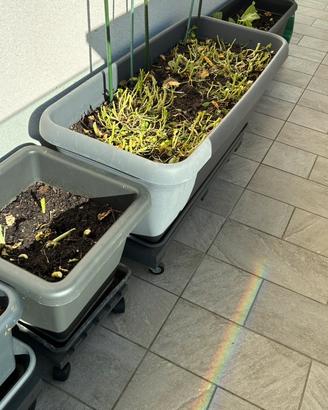 Vasi per terrazzo con carrellini su misura