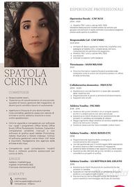 Impiegata CAF part-time - zona Vimodrone (MI)