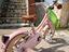 Immagine 3