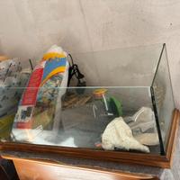 Terrario tartarughe d’acqua con accessori