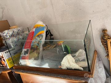 Terrario tartarughe d’acqua con accessori