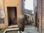 Immagine 16