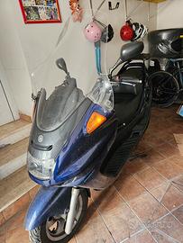 Yamaha Majesty 250dx