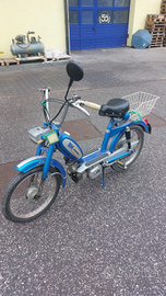 BM Bonvicini "zebretta"