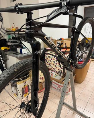 Cannondale carbon 1
