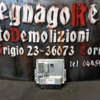 CENTRALINA MOTORE DELPHI 6735400031