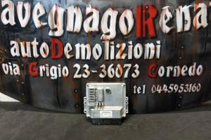 CENTRALINA MOTORE DELPHI 6735400031