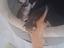 Immagine 2
