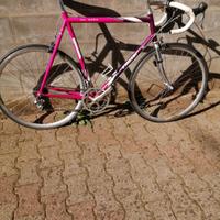 Moser  58x56