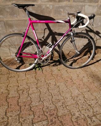 Moser  58x56