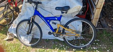 bicicletta