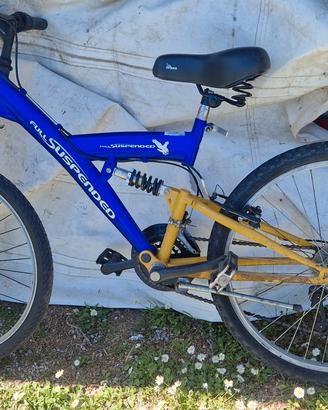 bicicletta