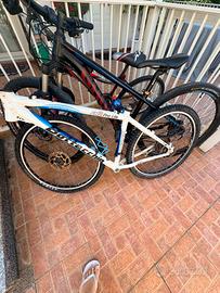 telaio bottecchia