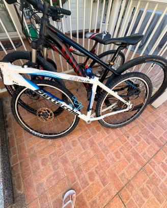 telaio bottecchia