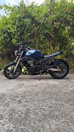 Kawasaki ER5 cilindrata 500