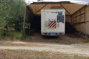 Camper mc Louis 7posti 2.8 - 146 cv