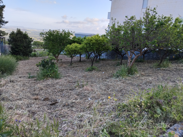 Terreno con rustico