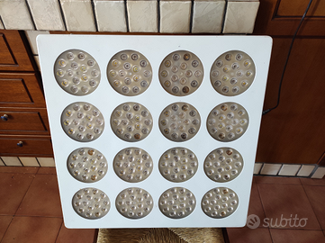 Lampade indoor grow per vegetativa e fioritura