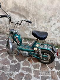 Cimatti mini chic