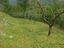 Immagine 9