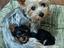 Immagine 1