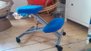 Seduta ergonomica