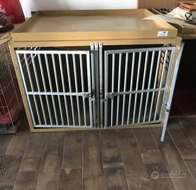 TRASPORTINO AUTO PROFESSIONALE