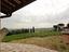 Immagine 11