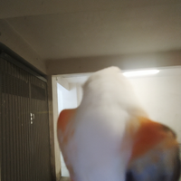 Solo per chi e interessato