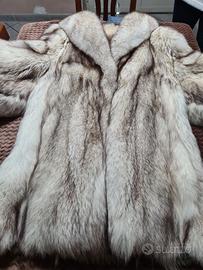 Pelliccia Volpe della Groenlandia, bellissime co