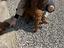 Immagine 6