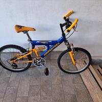 bicicletta bambino 