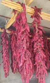 Peperoni  secchi di senise