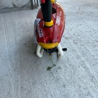 Acquascooter Enjoy AS 650