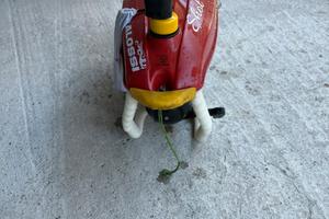 Acquascooter Enjoy AS 650