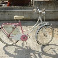 Biciclette di vari modelli