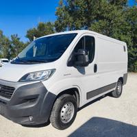 FIAT DUCATO TETTO BASSO PASSO CORTO